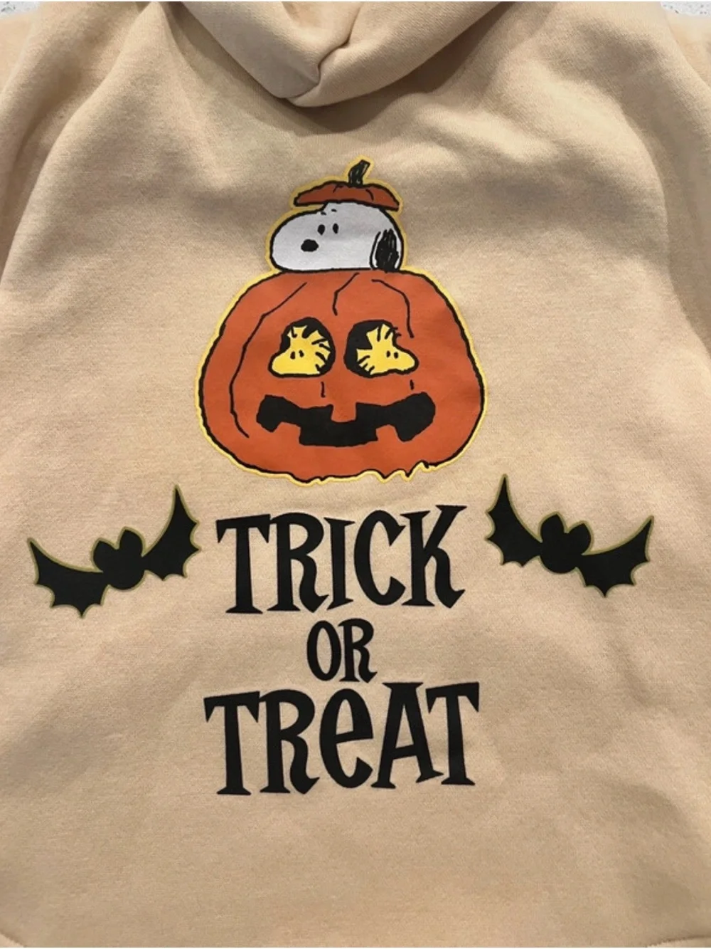 Peanuts Snoopy Pet hoodie Large